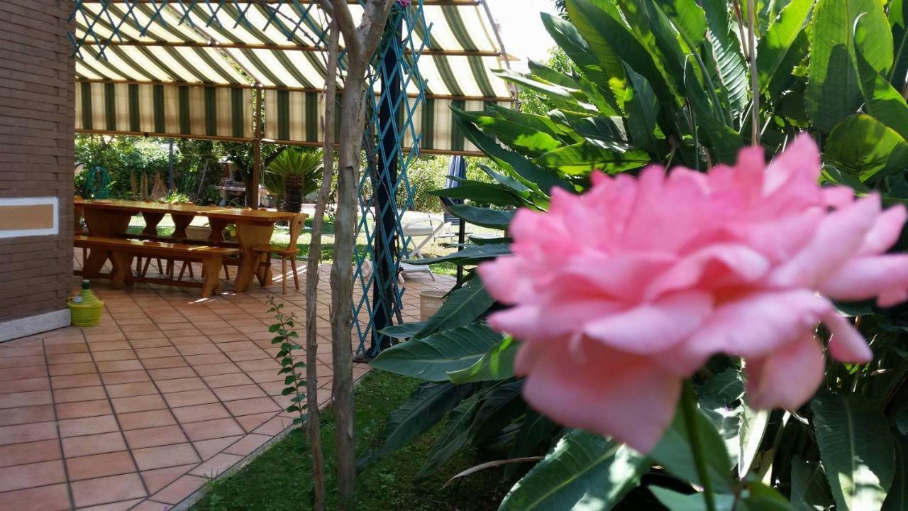 Home Denise E Luca Latina Exteriér fotografie