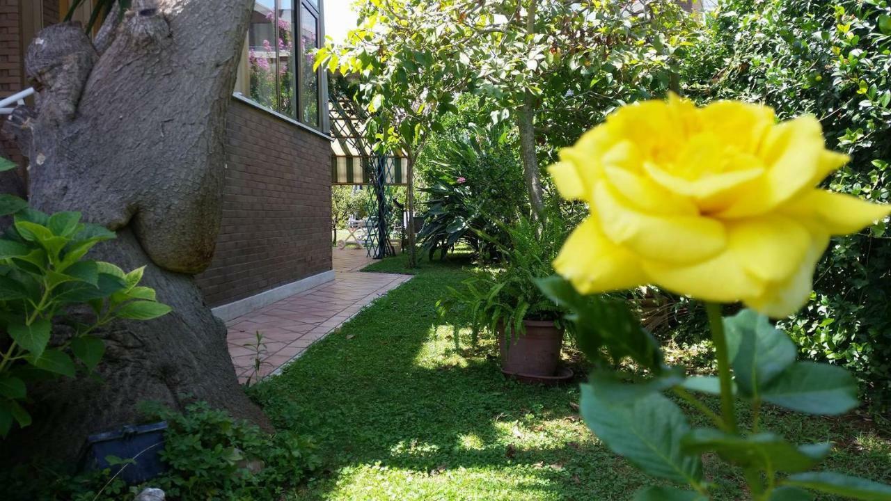 Home Denise E Luca Latina Exteriér fotografie