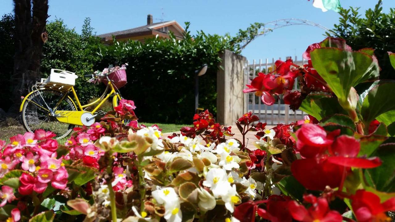 Home Denise E Luca Latina Exteriér fotografie